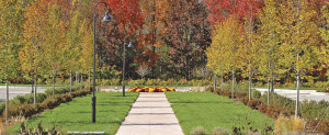 View of walkway with flower garden and trees in autumn