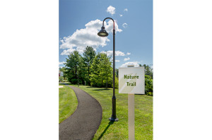 Wooded nature trail with outdoor fitness stations